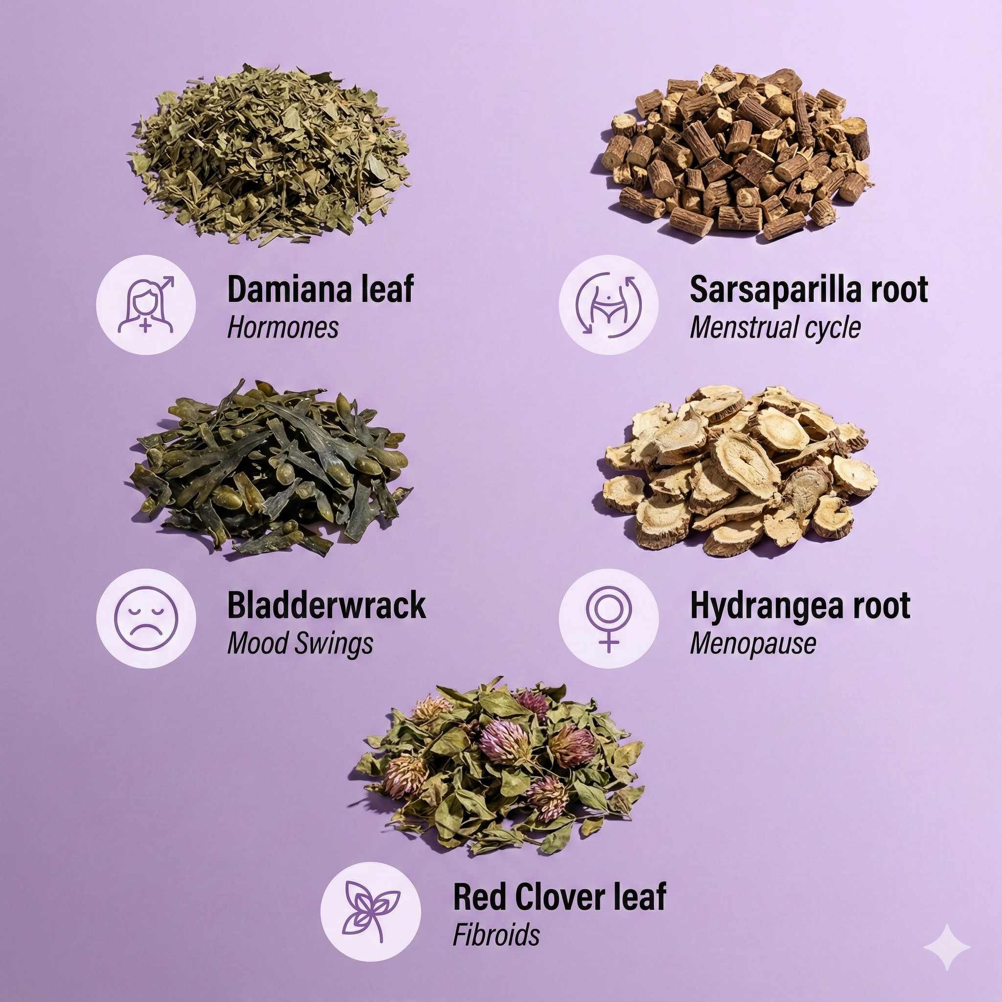 Bottle of Vegan Lifemoss Blood Purifying Capsules with a yellow label and text.