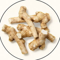 Huereque Root