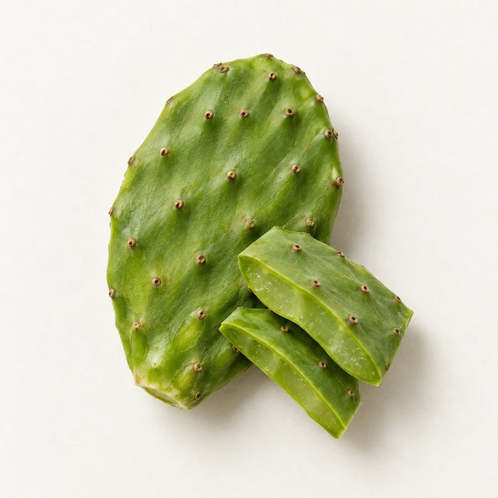 Nopal cactus pad with sliced pieces