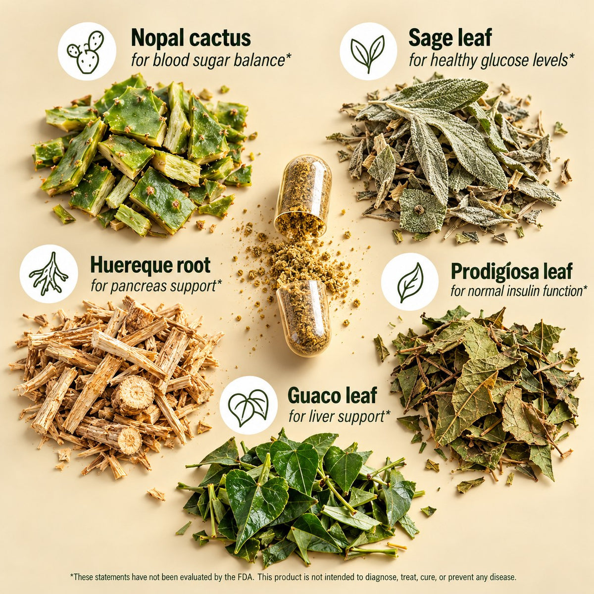 The five SugarSteady herbs: nopal cactus, sage leaf, huereque root, prodigiosa leaf and guaco leaf