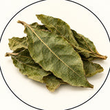 Prodigiosa Leaf