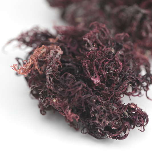 Premium Raw Purple Sea moss
