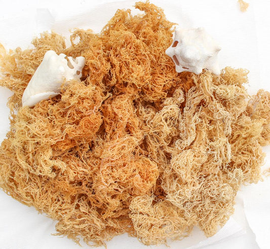 Bulk Raw Seamoss Gold 1lb, 5lb -10lb