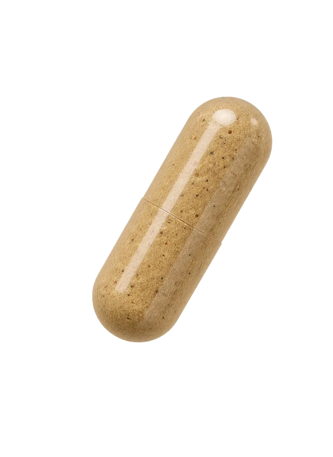 A Blood Purifying capsule