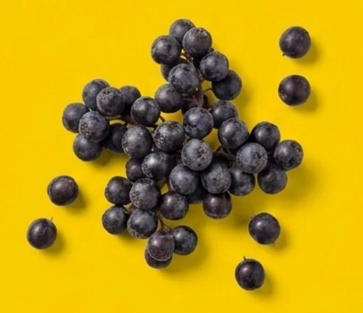 Elderberry